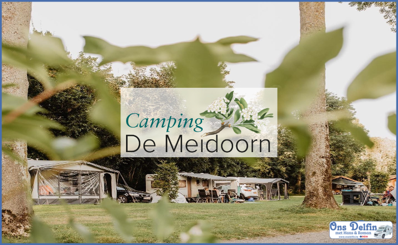 moordenaar vliegtuigen Reis Camping De Meidoorn (Sluis, Nederland) - Ons Delfin met Hans en Roman