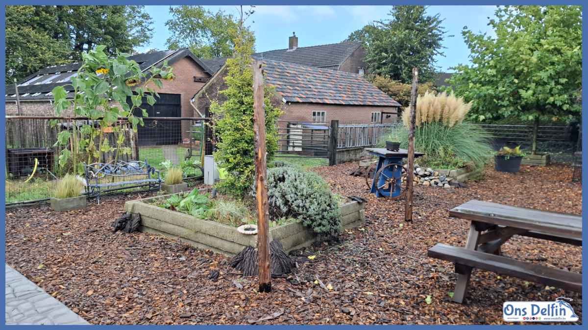 B&B en Camperplaats D'n Ouwe Meuk te Hilvarenbeek in Nederland.