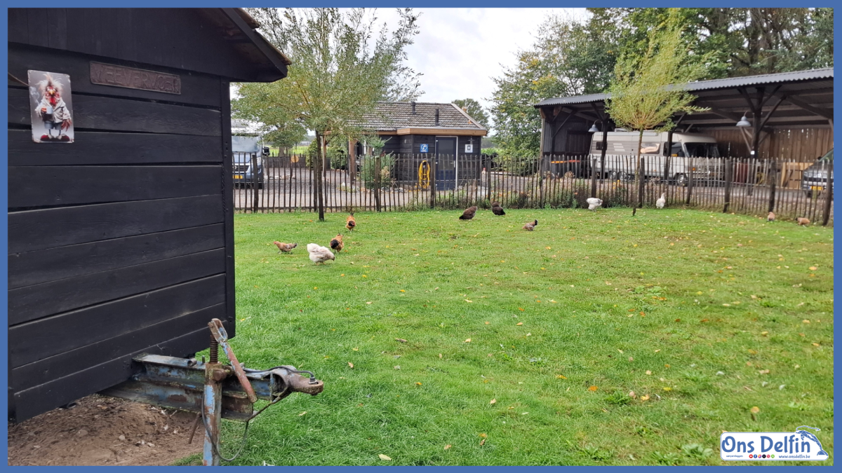 B&B en Camperplaats D'n Ouwe Meuk te Hilvarenbeek in Nederland.