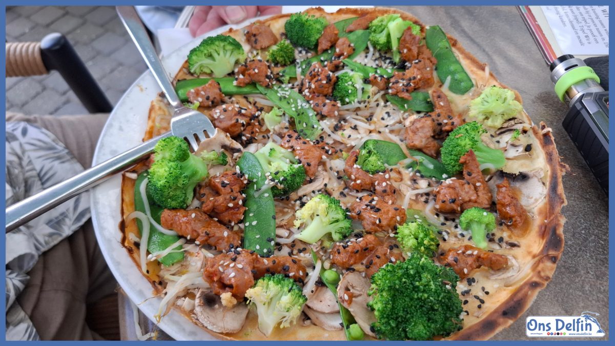 Beef teriyaki pannenkoek met gemarineerde biefstukreepjes op een groentebedje van broccoli, taugé, champignons en peultjes met soja-sesamsaus  bij De Pannekoekenbakker te Thorn (Nederland).