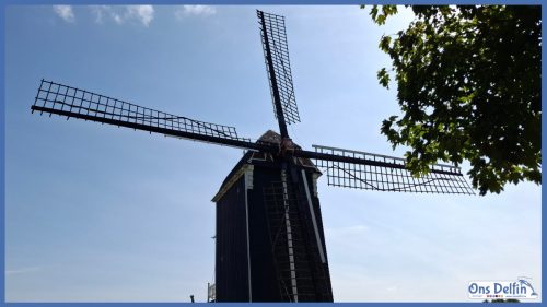 Ons Delfin - YouTube Aankondiging