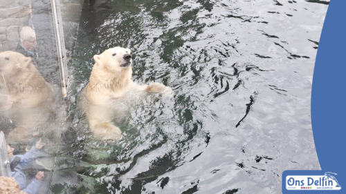 2026-06-03-Pairi-Daiza-Brugelette-Belgie-006